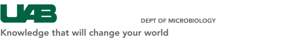 Gray Lab